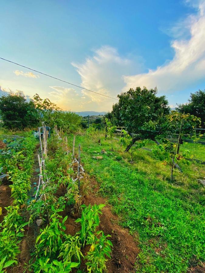 Locanda Tipica Sa Corte Ольена Экстерьер фото