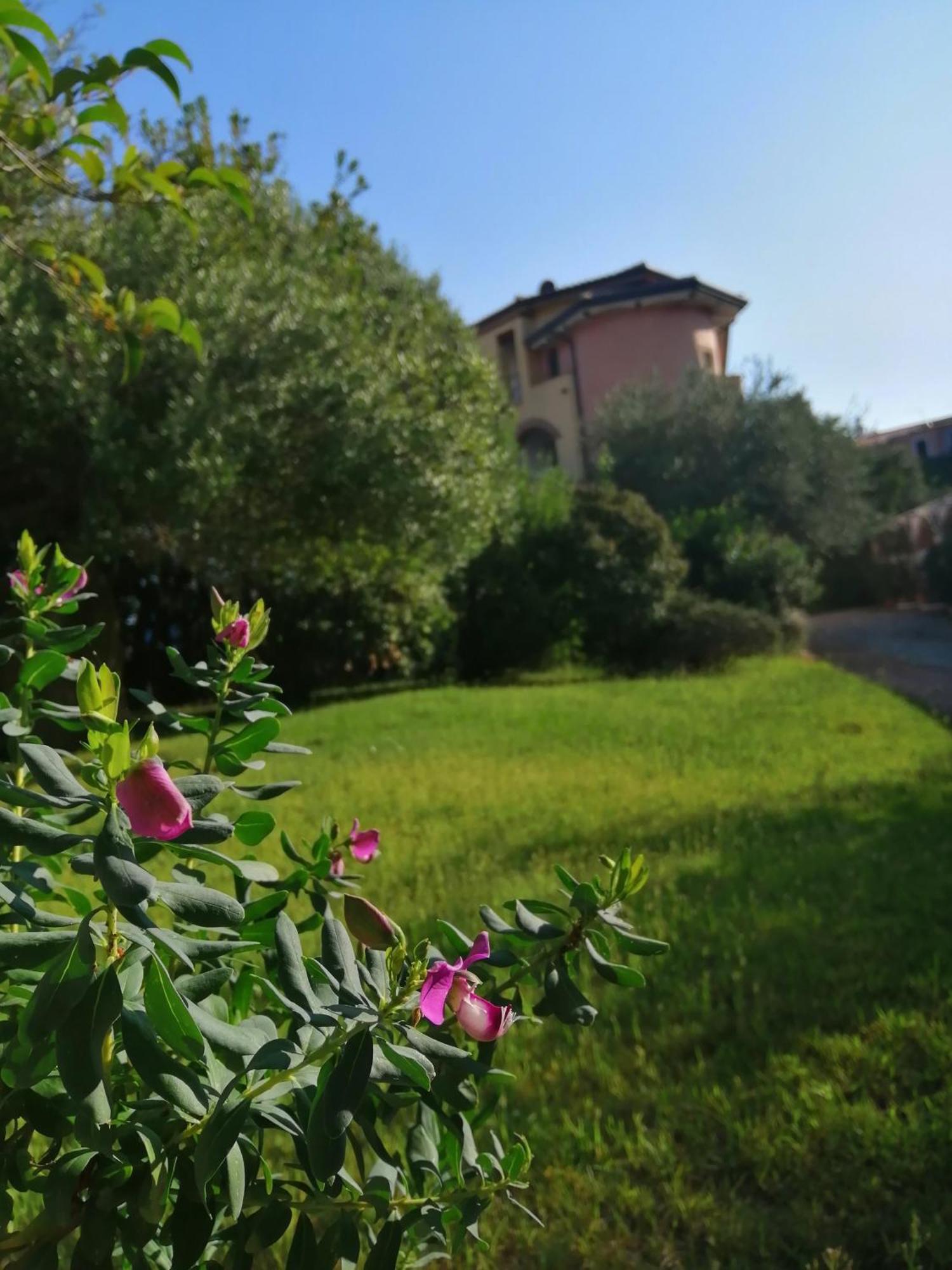 Locanda Tipica Sa Corte Ольена Номер фото