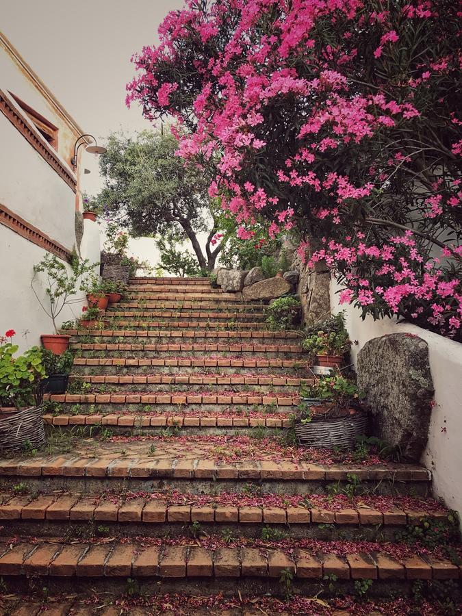 Locanda Tipica Sa Corte Ольена Экстерьер фото
